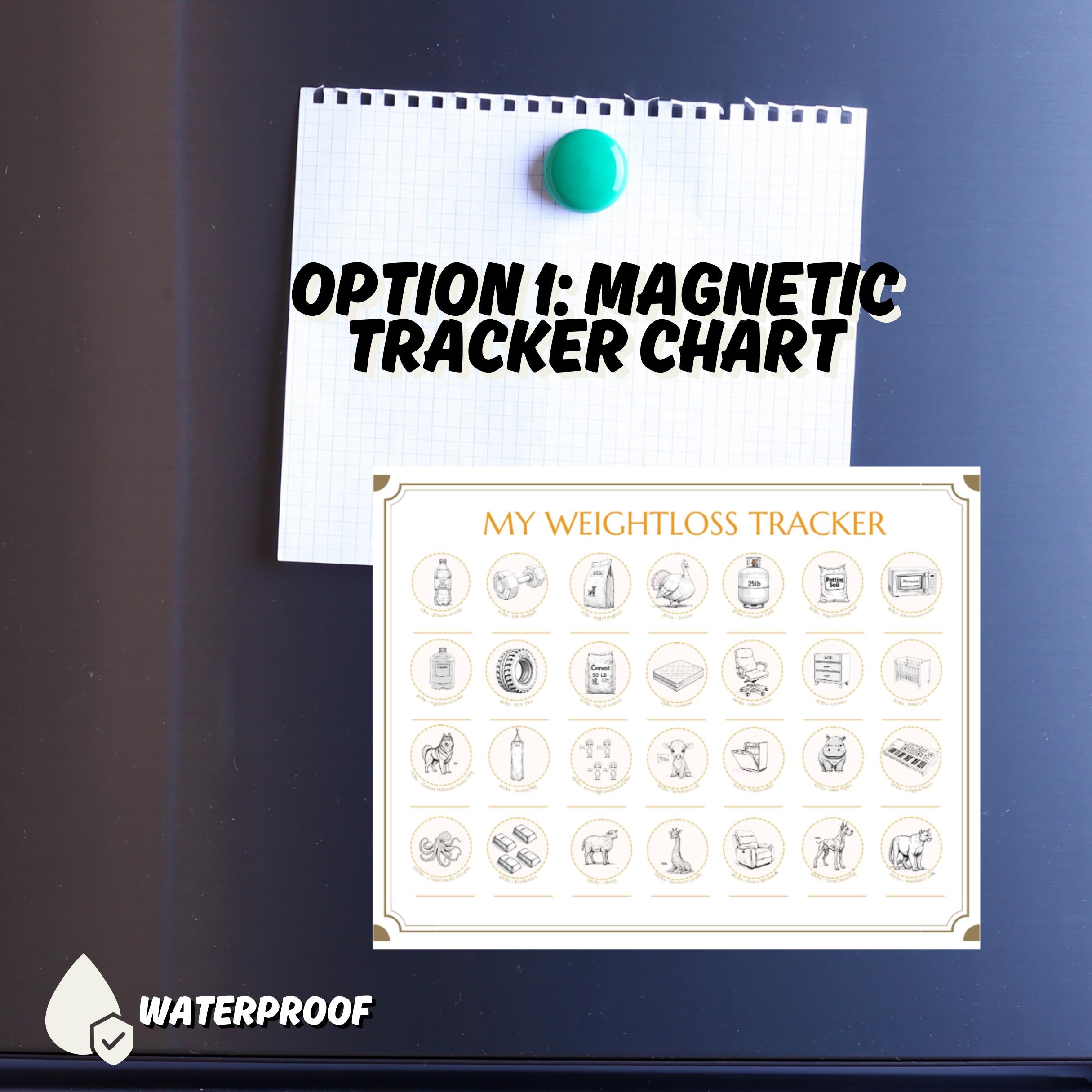 Diet Milestone Gift: Holographic Weight Loss Tracker and Stickers Set