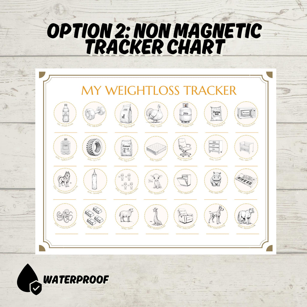 Diet Milestone Gift: Holographic Weight Loss Tracker and Stickers Set