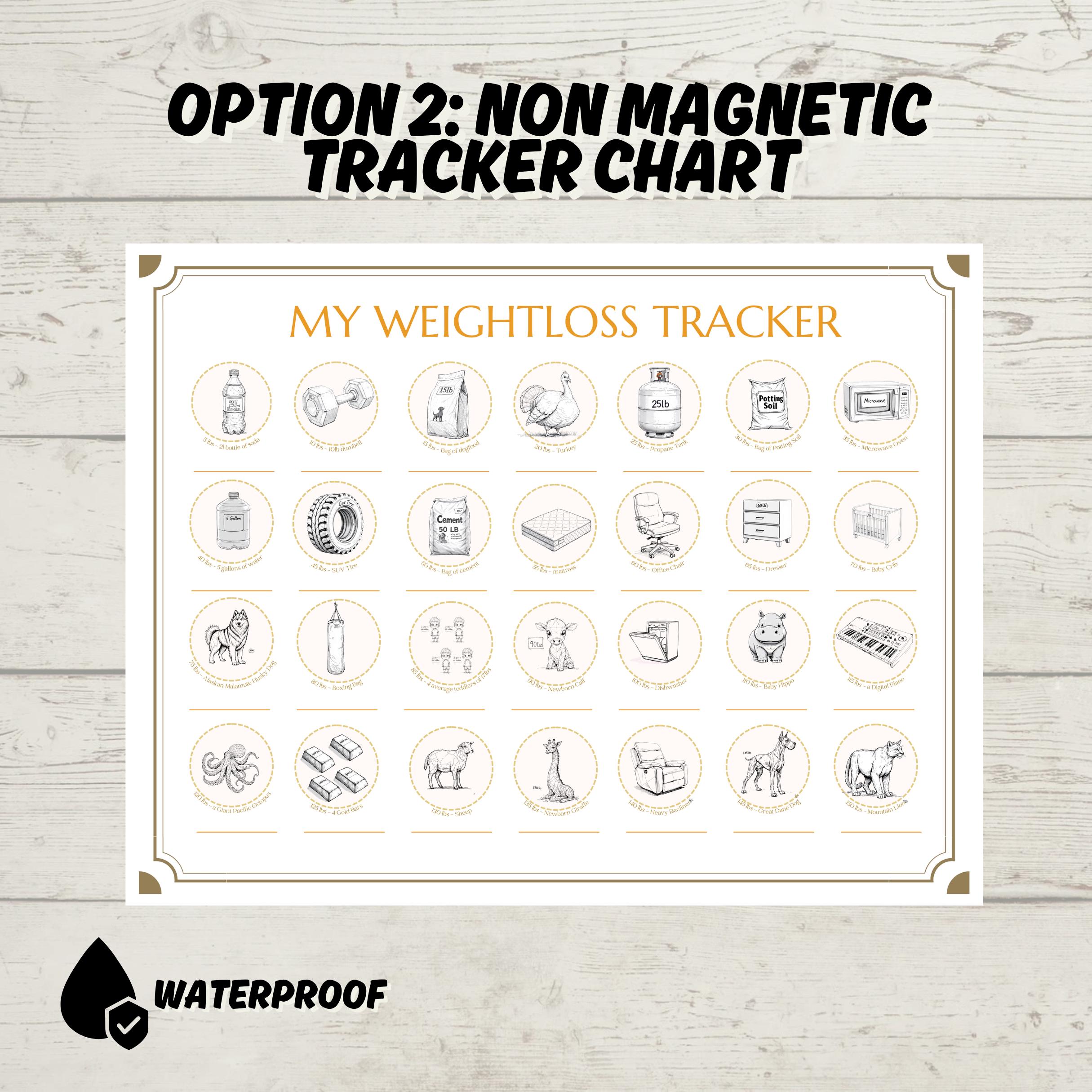 Diet Milestone Gift: Holographic Weight Loss Tracker and Stickers Set