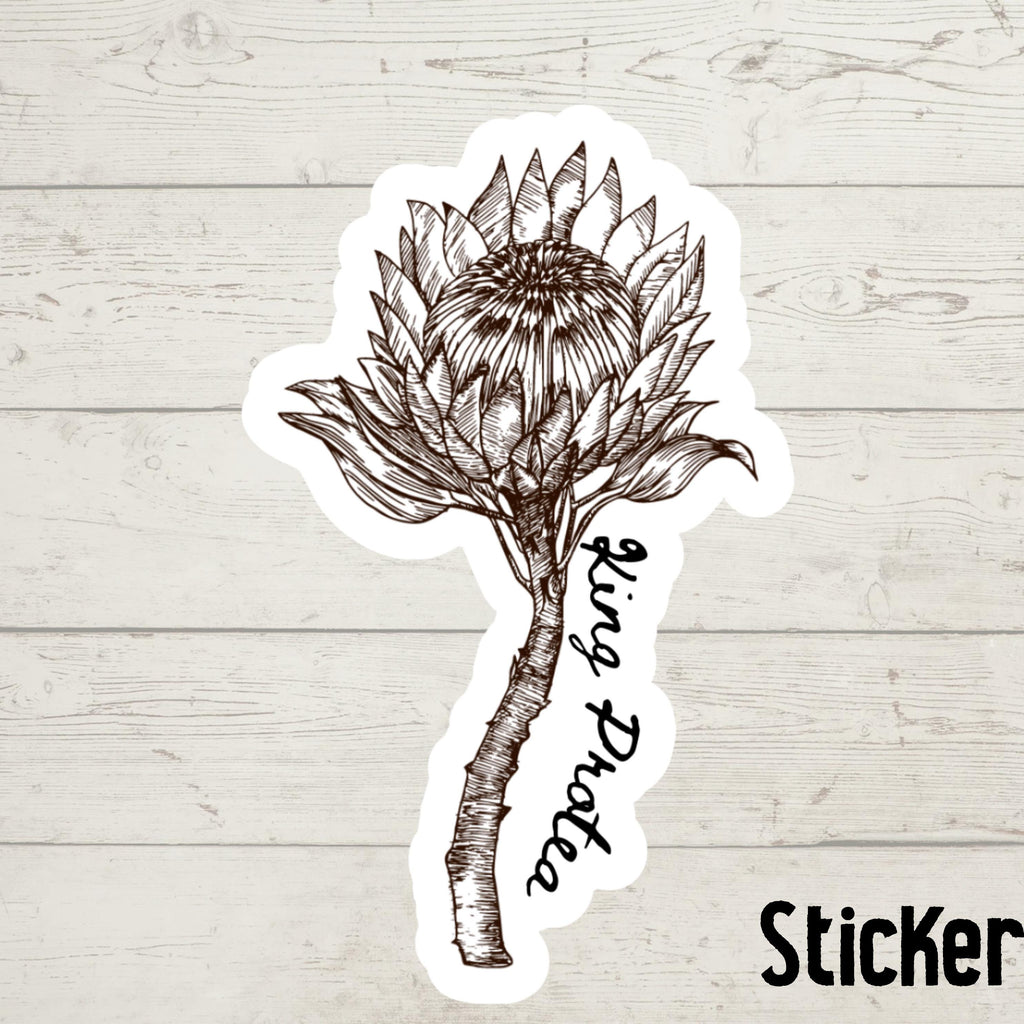 King Protea Watercolor Sticker: South African Floral Decal
