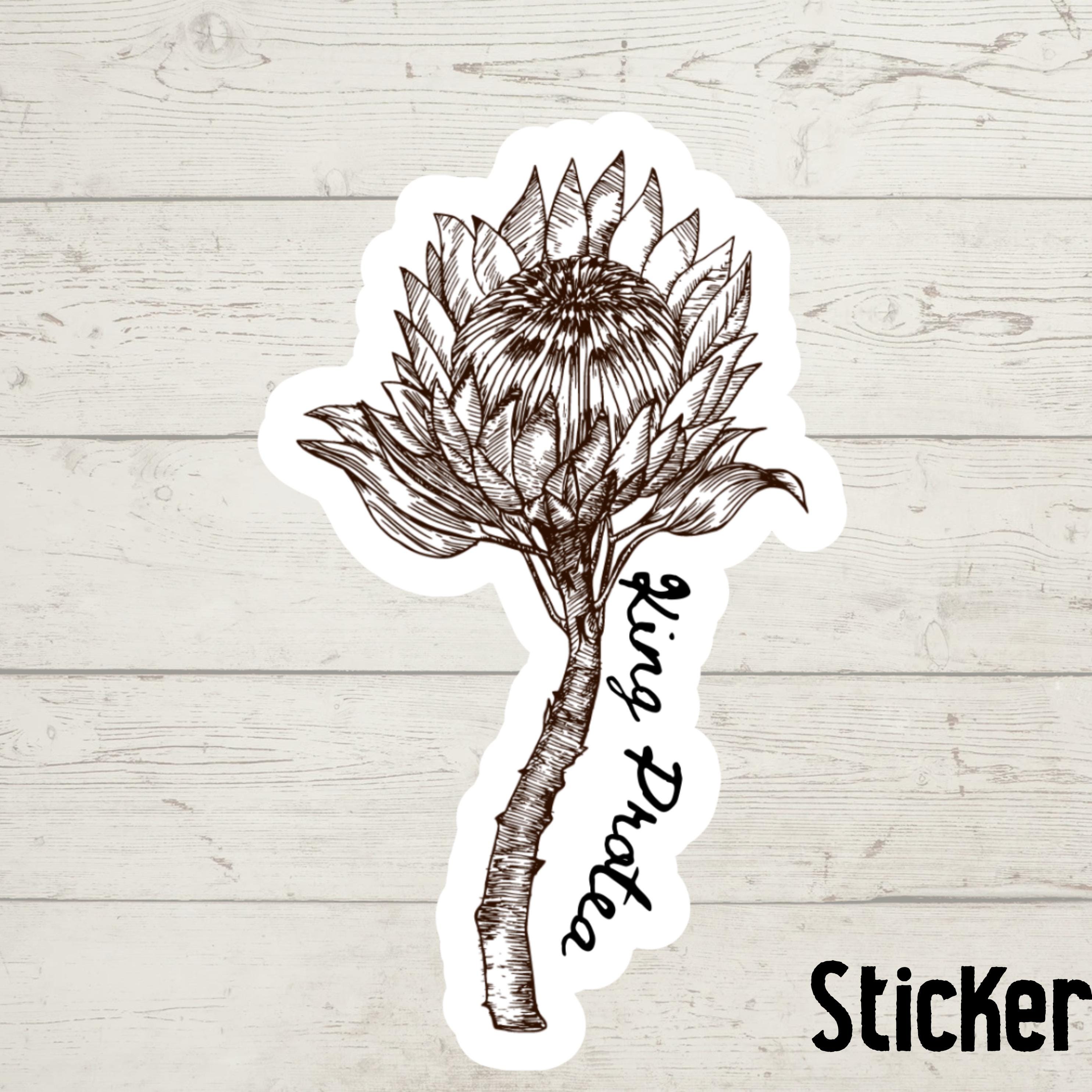 King Protea Watercolor Sticker: South African Floral Decal