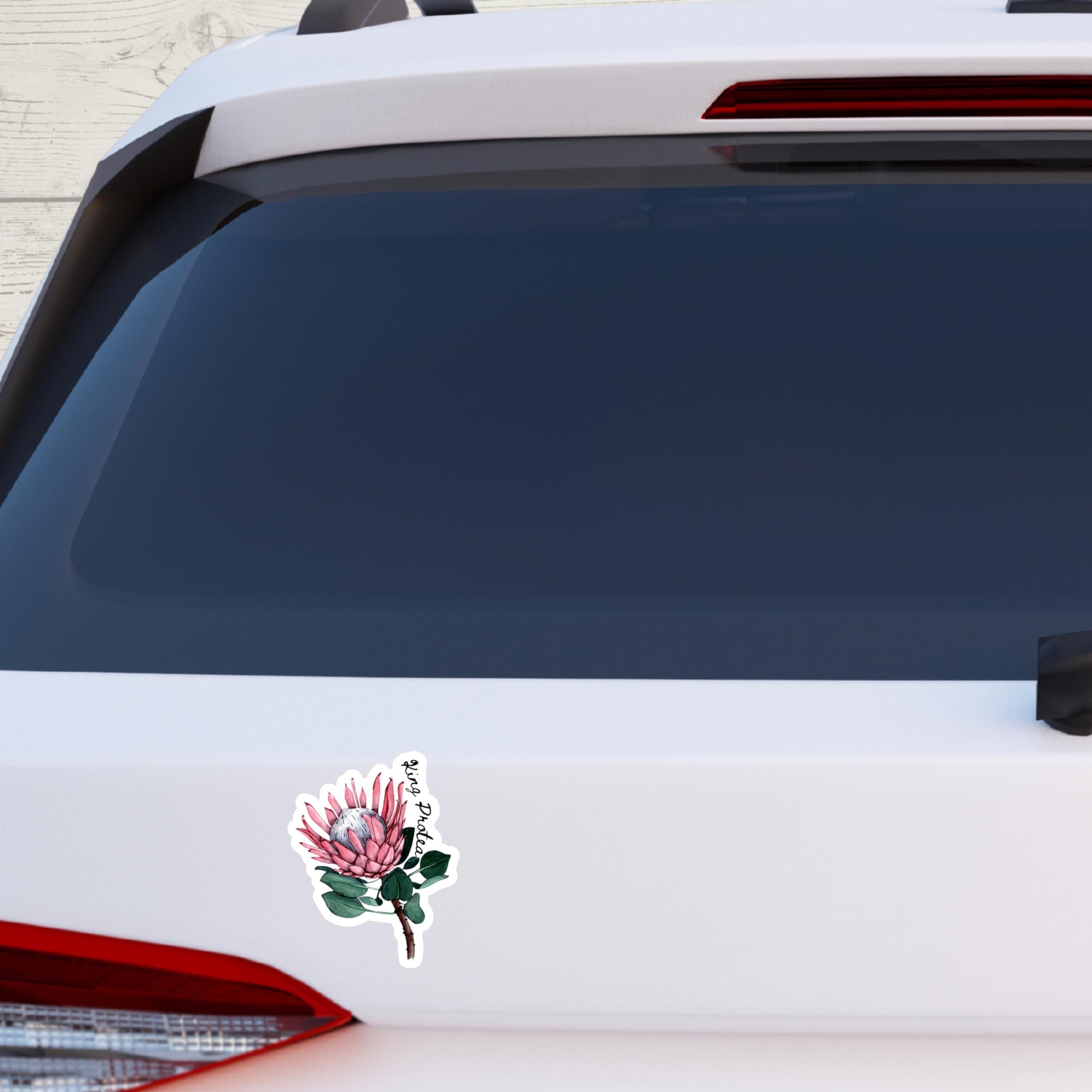 King Protea Sticker: Watercolor South African Flower Decal