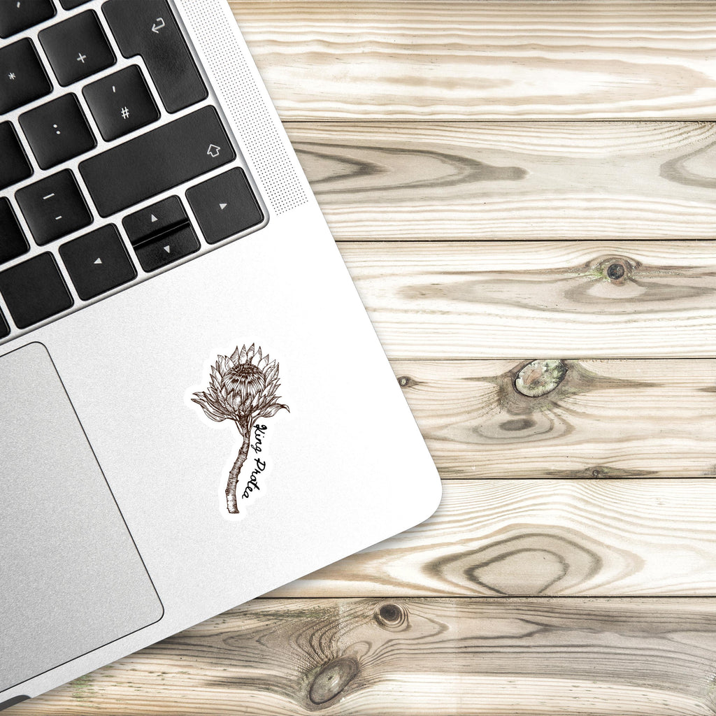 King Protea Watercolor Sticker: South African Floral Decal