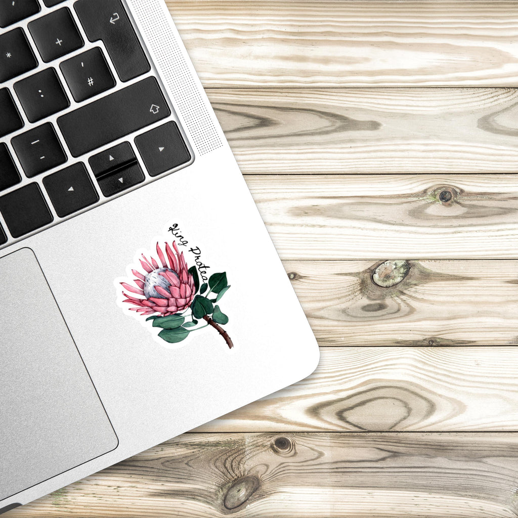 King Protea Sticker: Watercolor South African Flower Decal