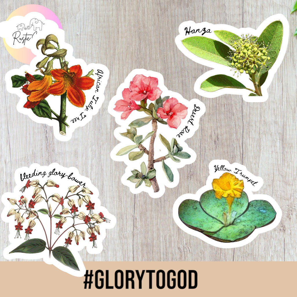 Impala Lily Sticker: South African Floral Watercolor Decal