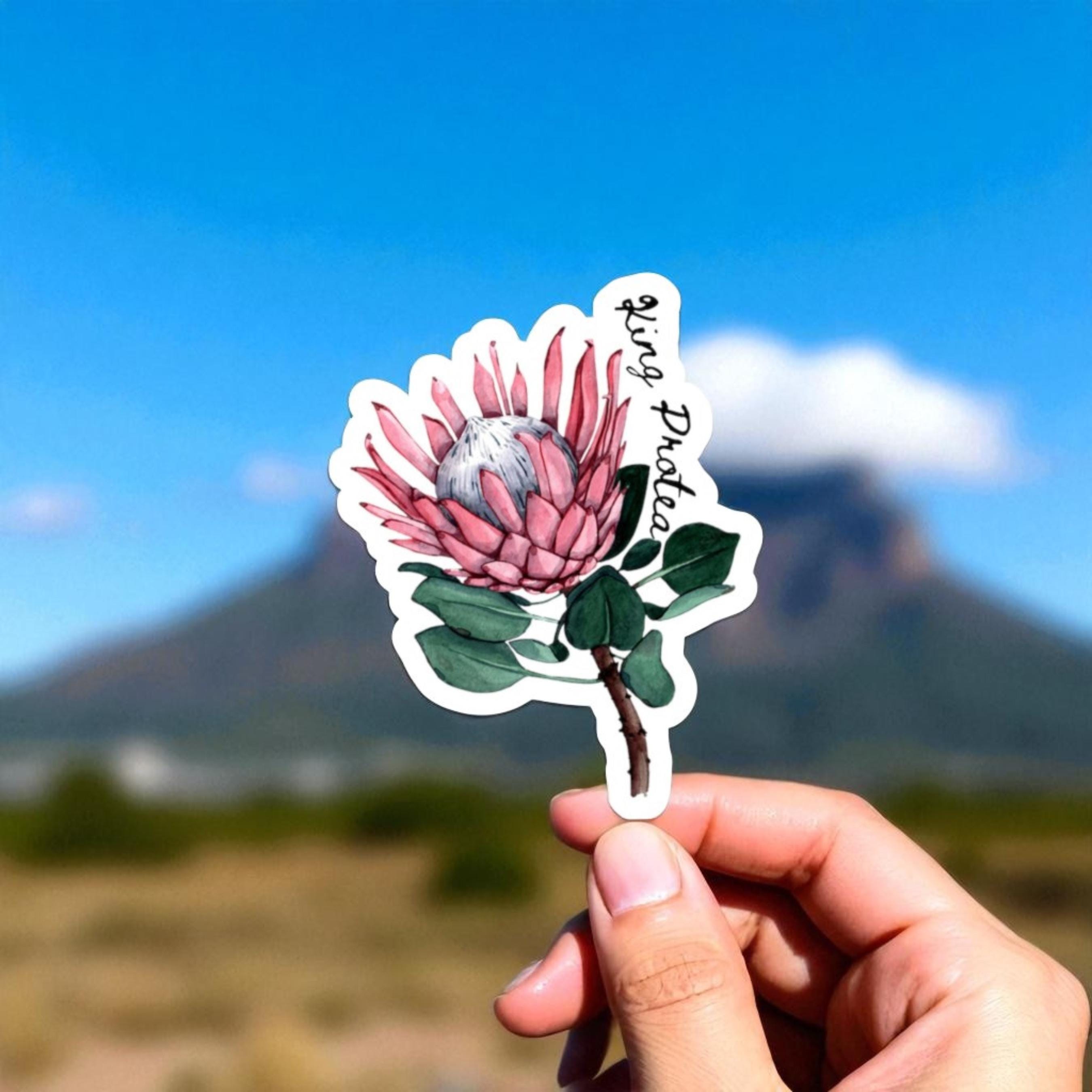King Protea Sticker: Watercolor South African Flower Decal