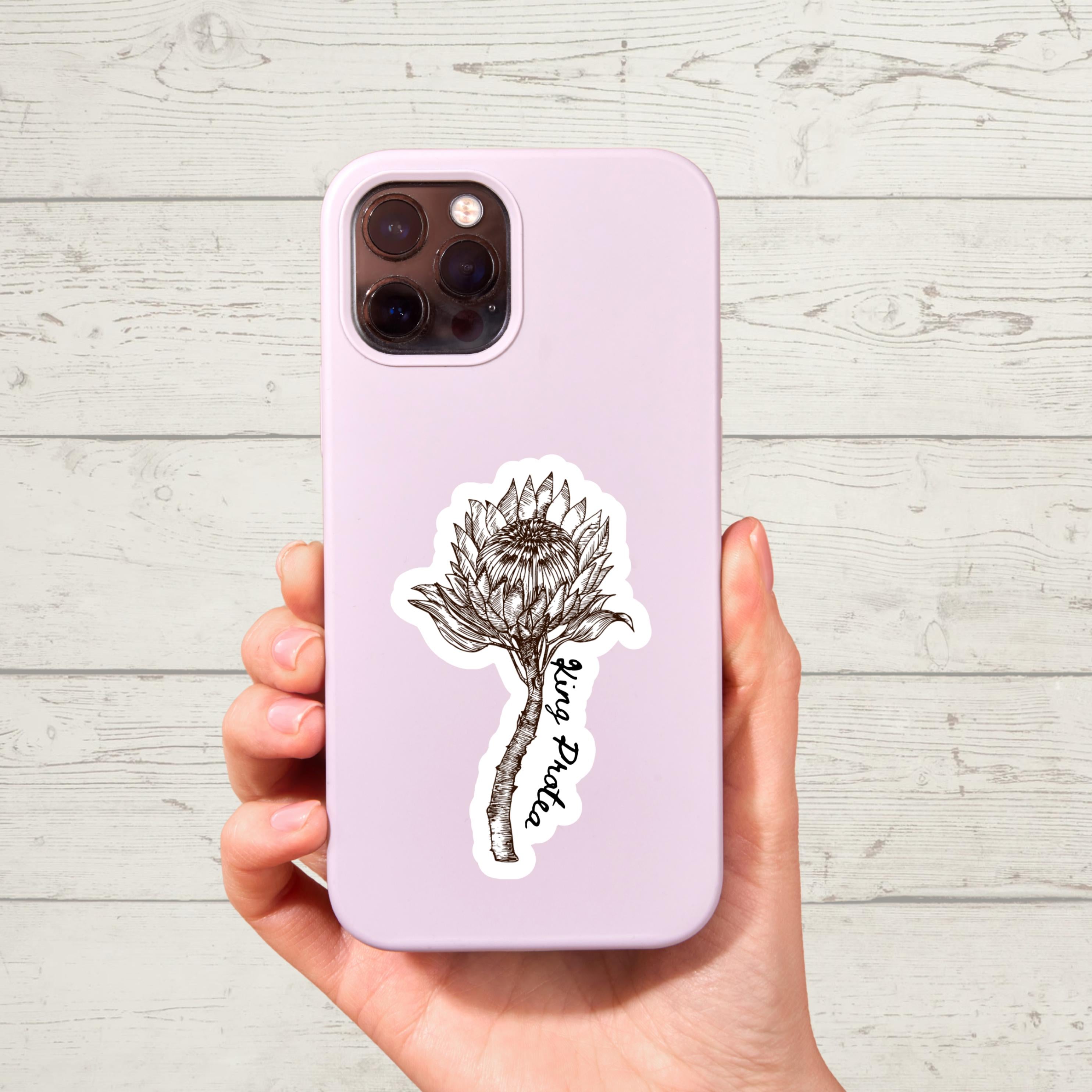 King Protea Watercolor Sticker: South African Floral Decal