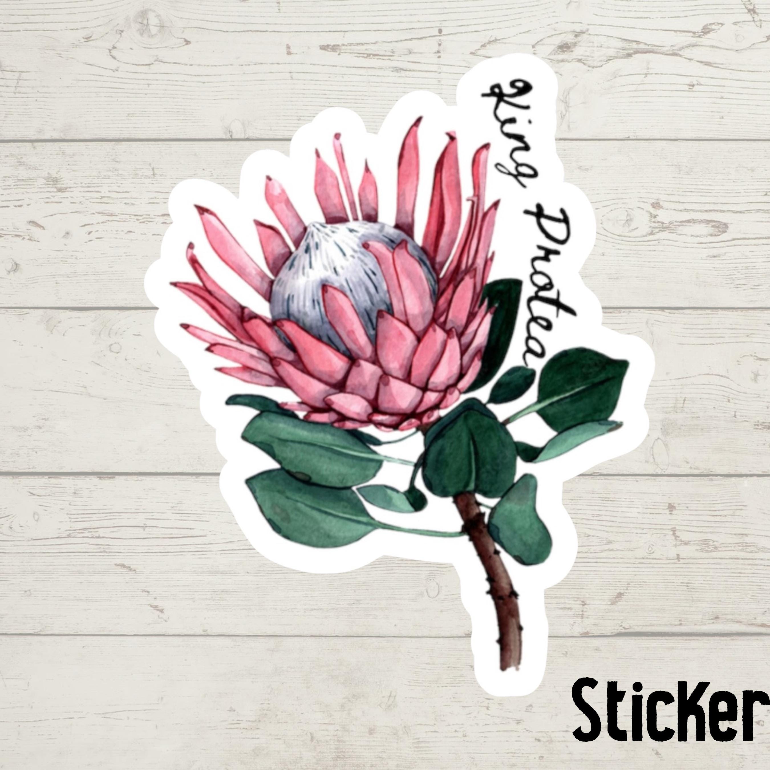 King Protea Sticker: Watercolor South African Flower Decal