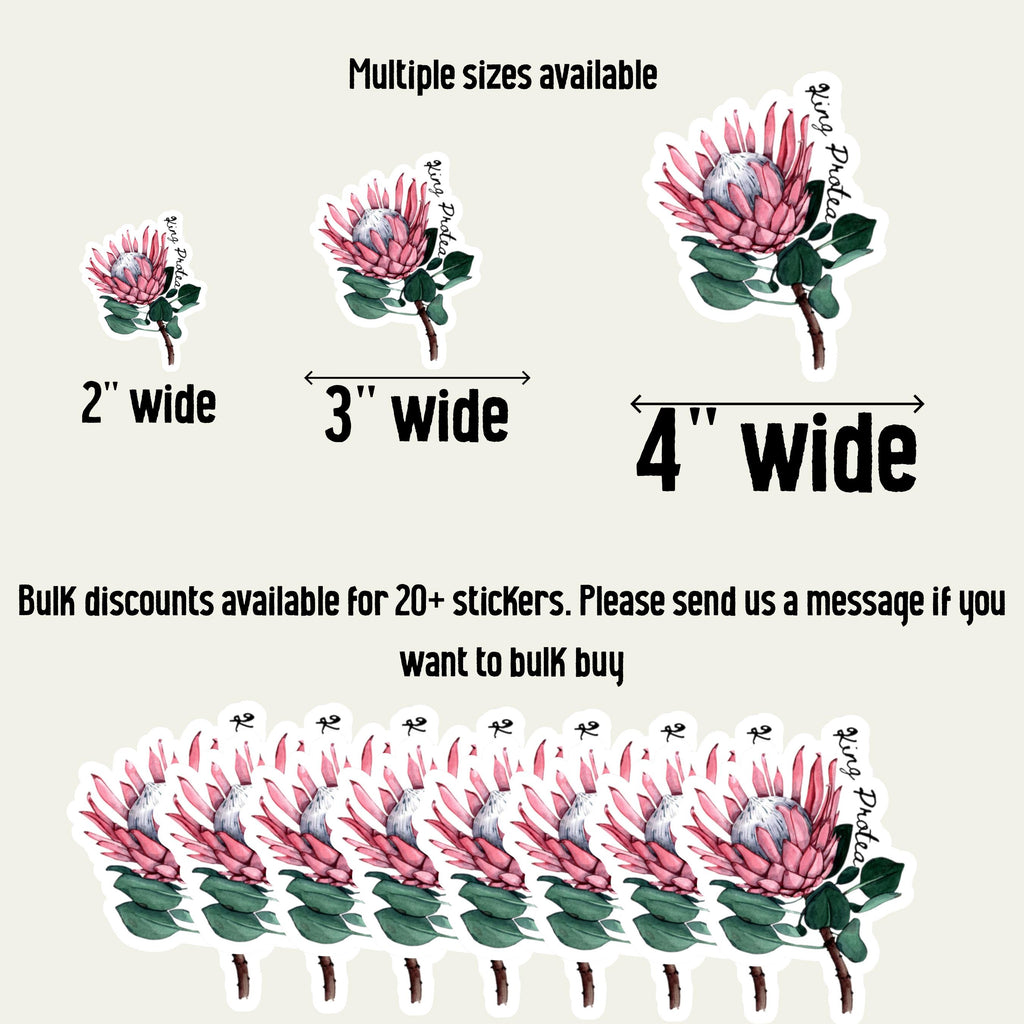 King Protea Sticker: Watercolor South African Flower Decal