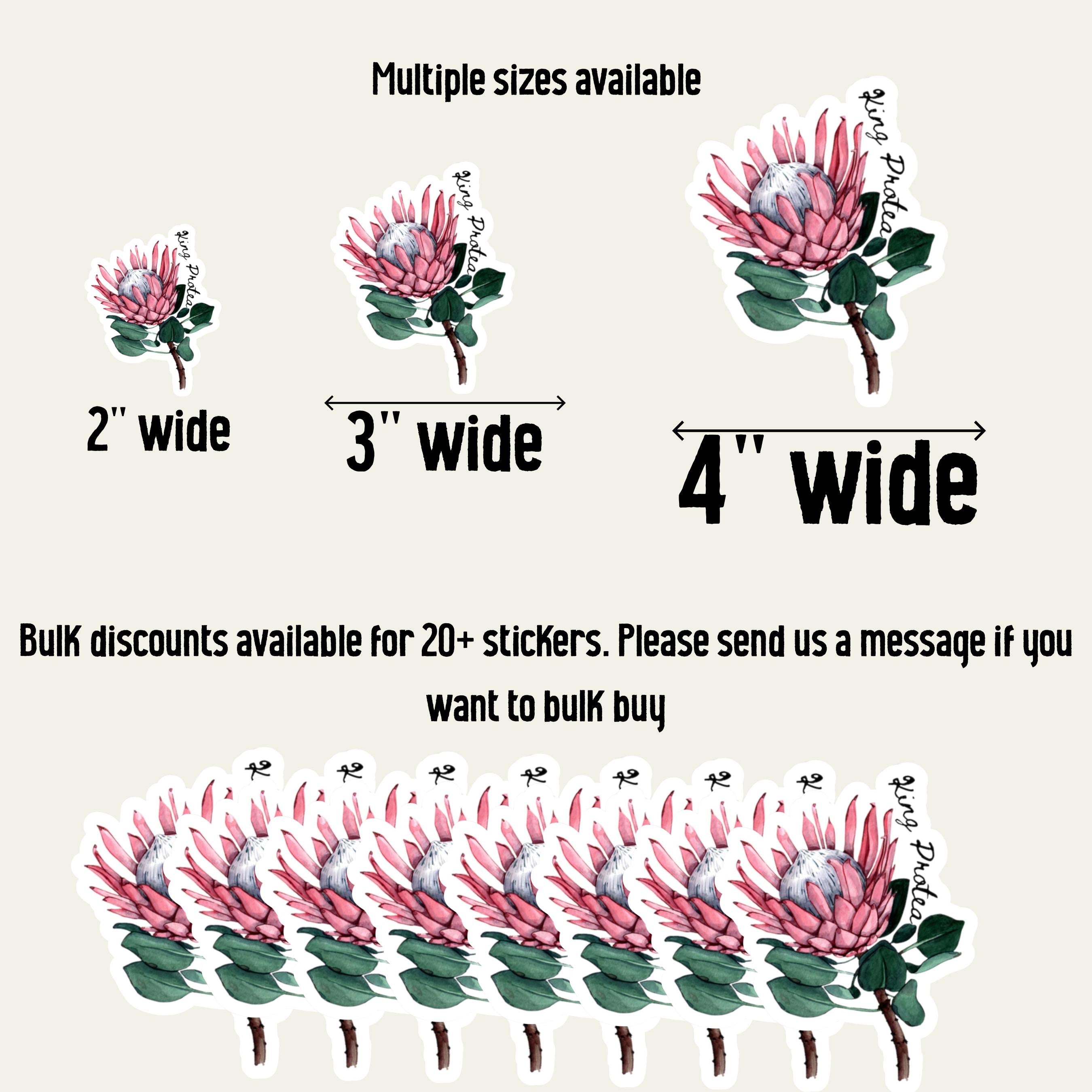 King Protea Sticker: Watercolor South African Flower Decal