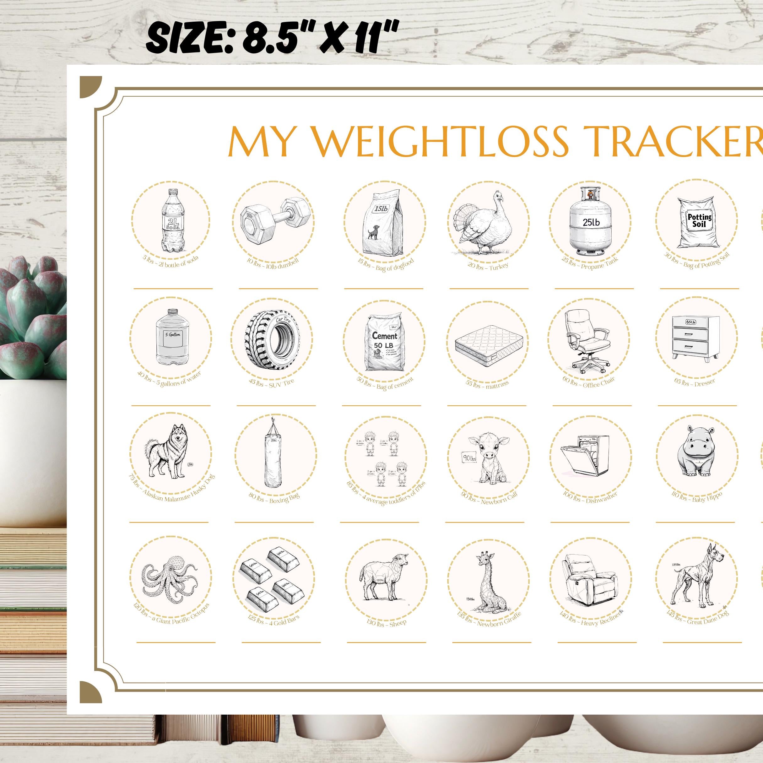 Diet Milestone Gift: Holographic Weight Loss Tracker and Stickers Set