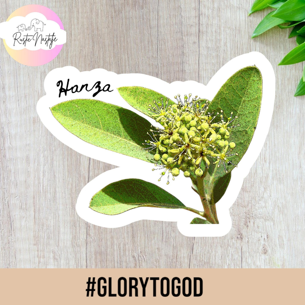 West African Flower Sticker Set: Botanical Decals for Laptop, Planner