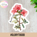 Impala Lily Sticker: South African Floral Watercolor Decal