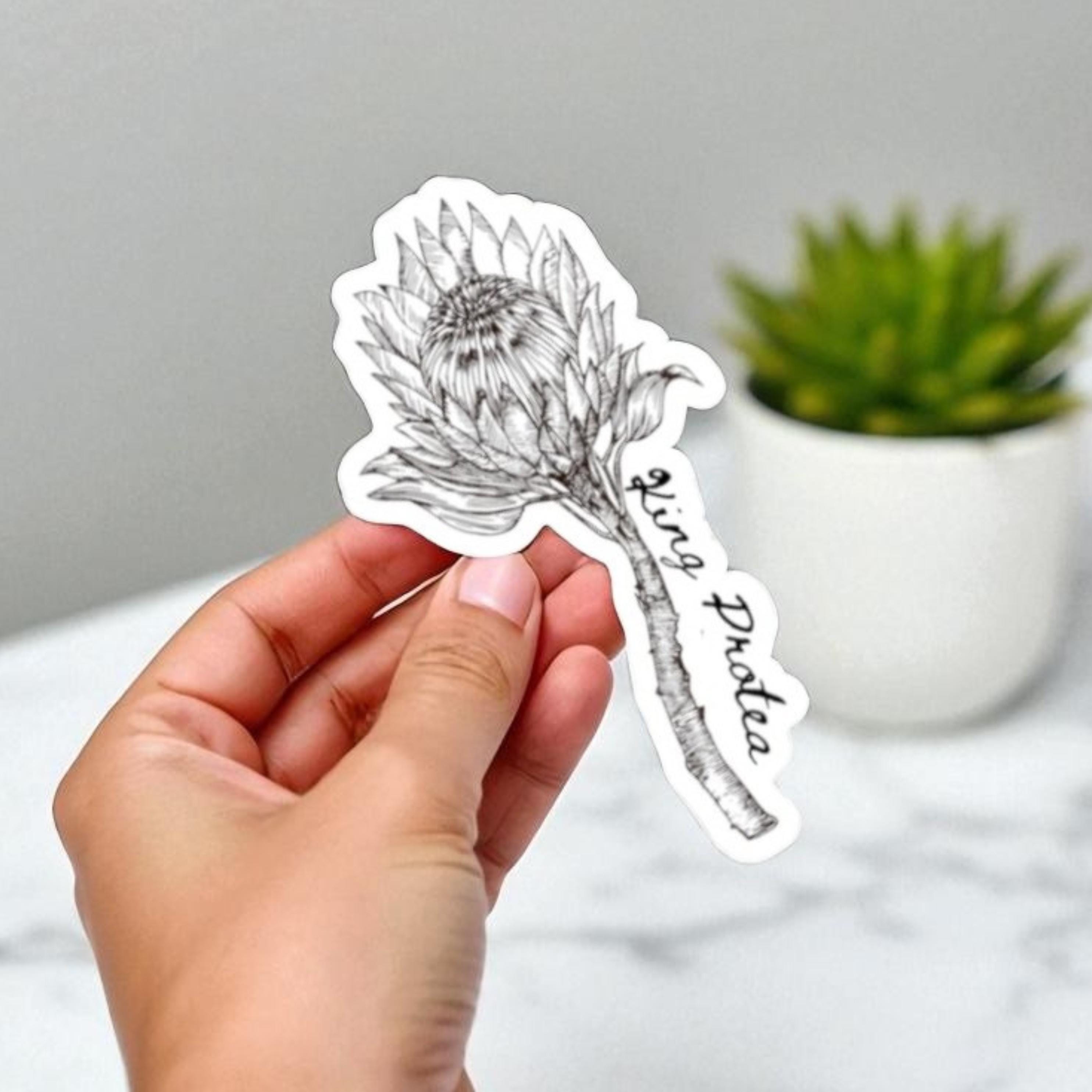 King Protea Watercolor Sticker: South African Floral Decal