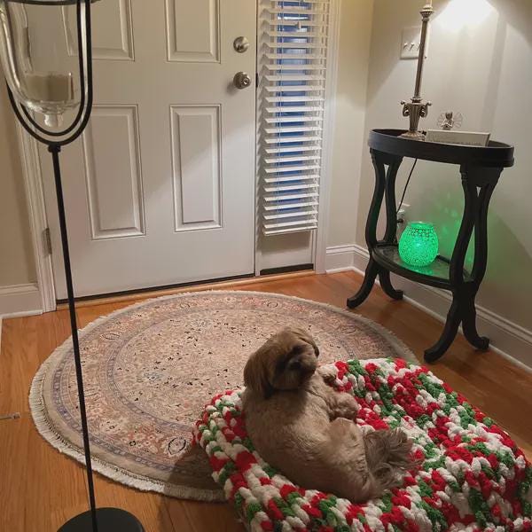Custom Chunky Knit Dog Blanket, Soft Chenille Pet Bed, Washable Puppy Crate Liner, Hand Knitted Cat Mat, Boho Pet Gift, Pick Your Color