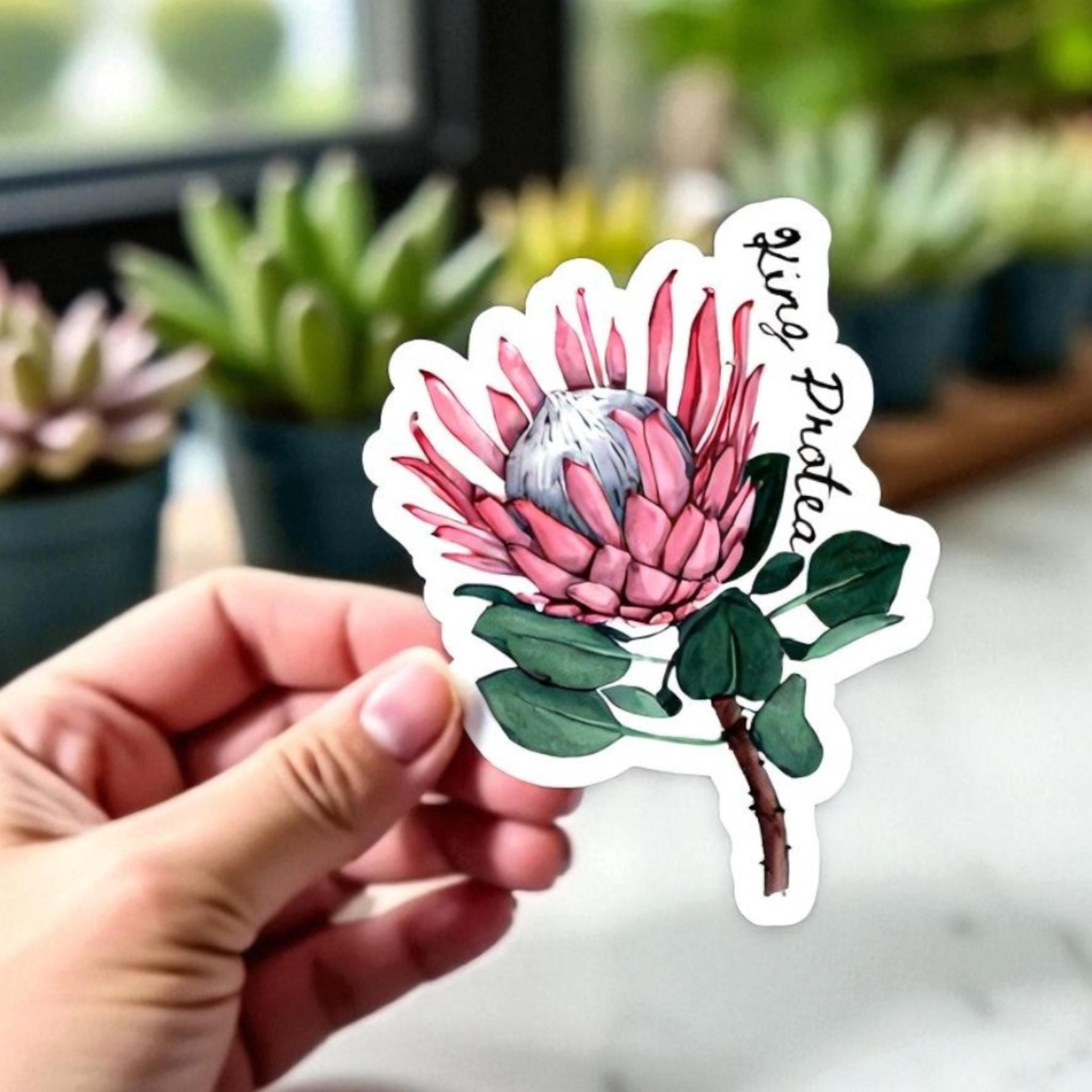 King Protea Sticker: Watercolor South African Flower Decal
